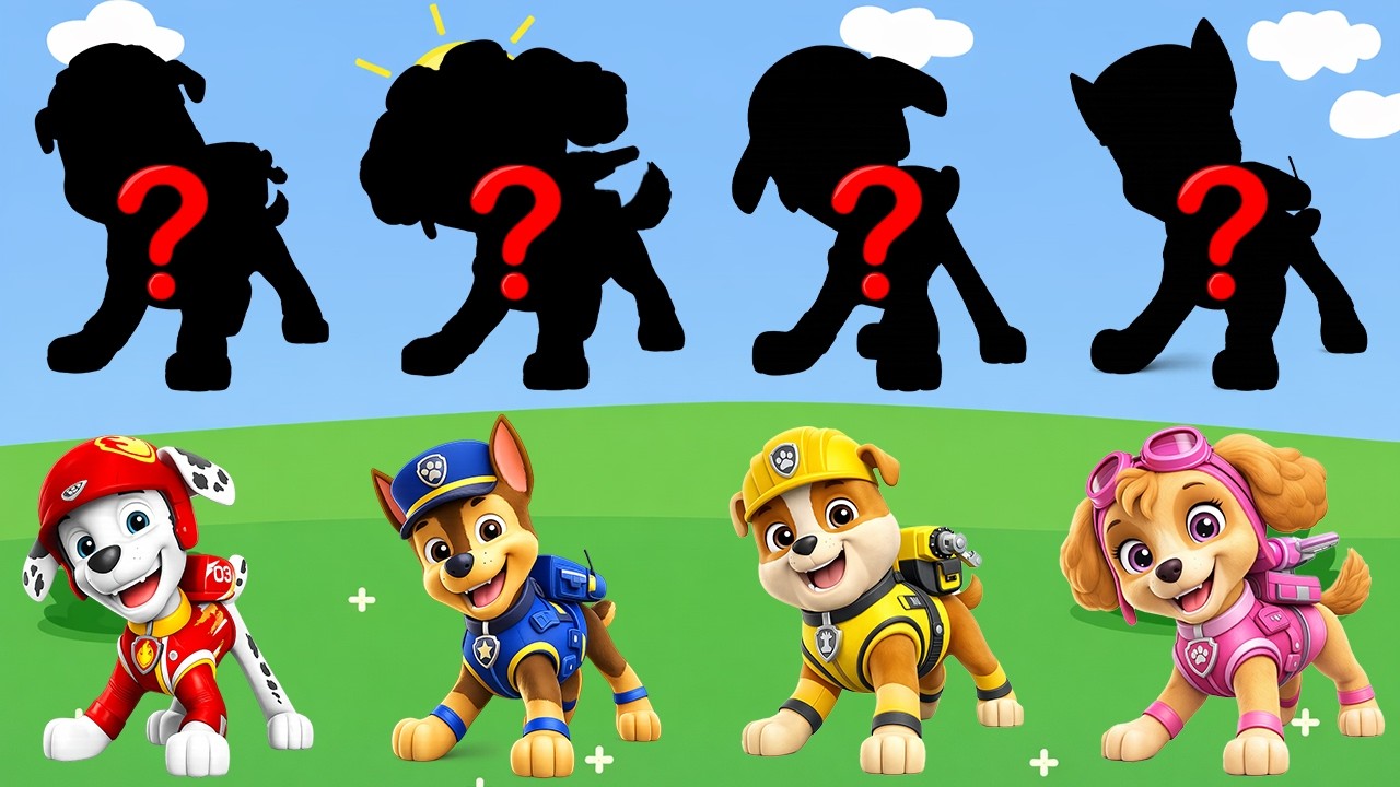 Paw Patrol and Friends Learn Kids Useful Stories for Kids Cartoon Paw Patrol (Extra Episode)