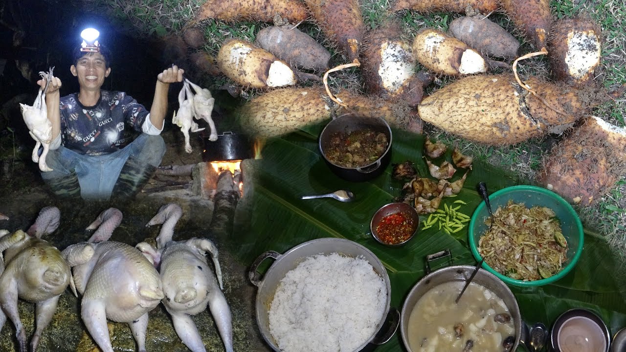 TRÚNG ỤC KHOAI RỪNG, VÀO ĐỘNG GÀ RỪNG, SĂN GÀ RỪNG - THỢ NÚI