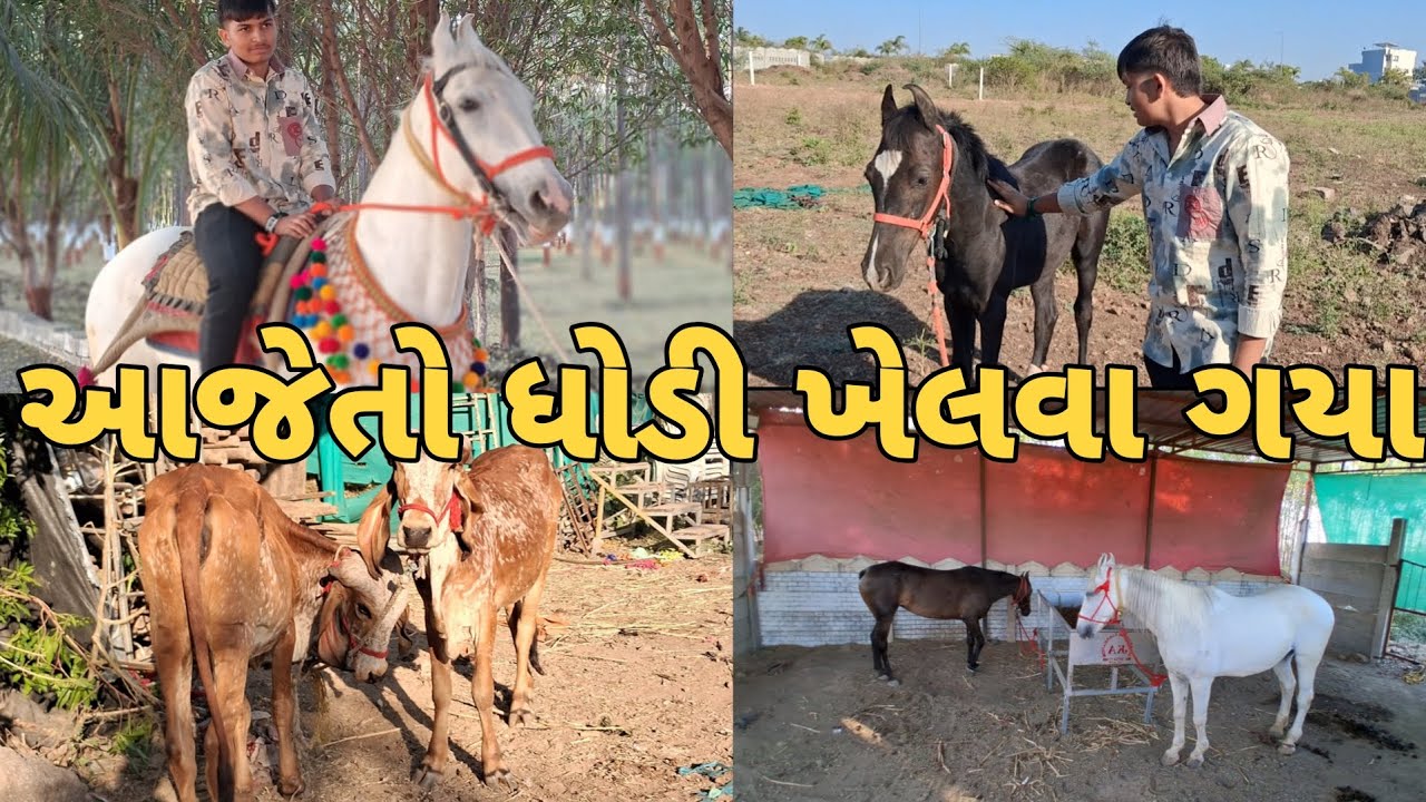 આજેતો ધોડી ખેલવા ગયા🐴 《RATAN NI SAVARI 》