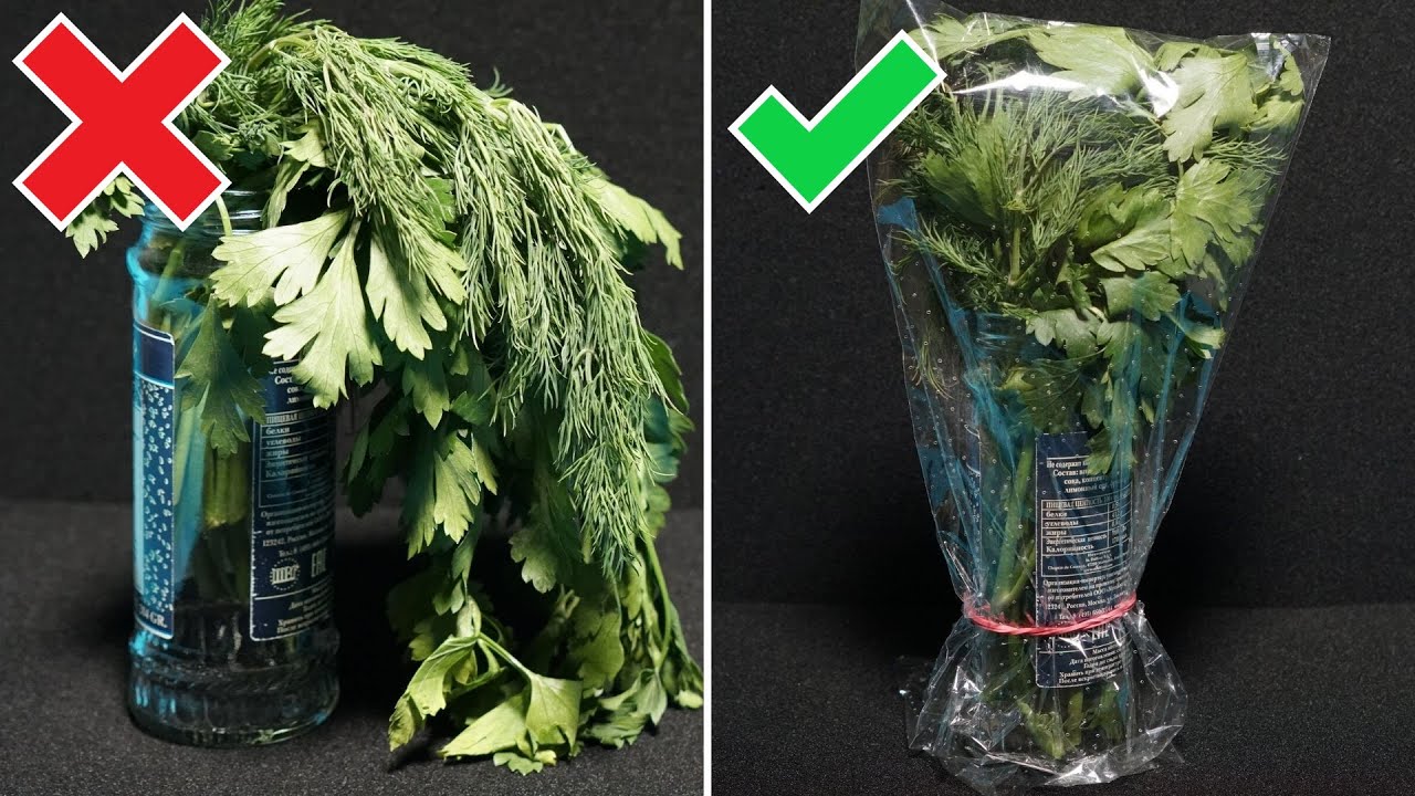 Come preservare il cibo fresco pi&ugrave; a lungo - 10 idee per preservare gli alimenti!| Perfetto