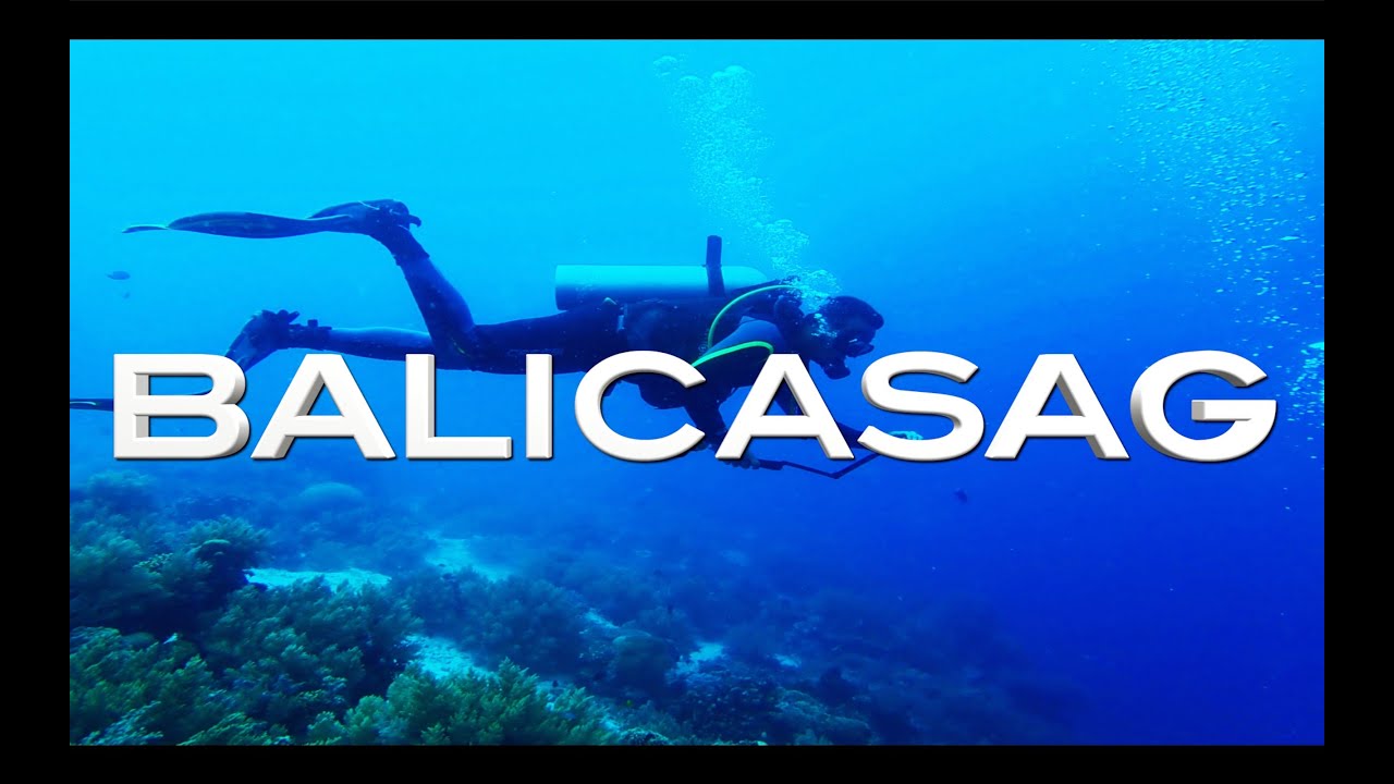 BUCEO en BALICASAG 🤿🐟🐠🐢 (Filipinas) 4K