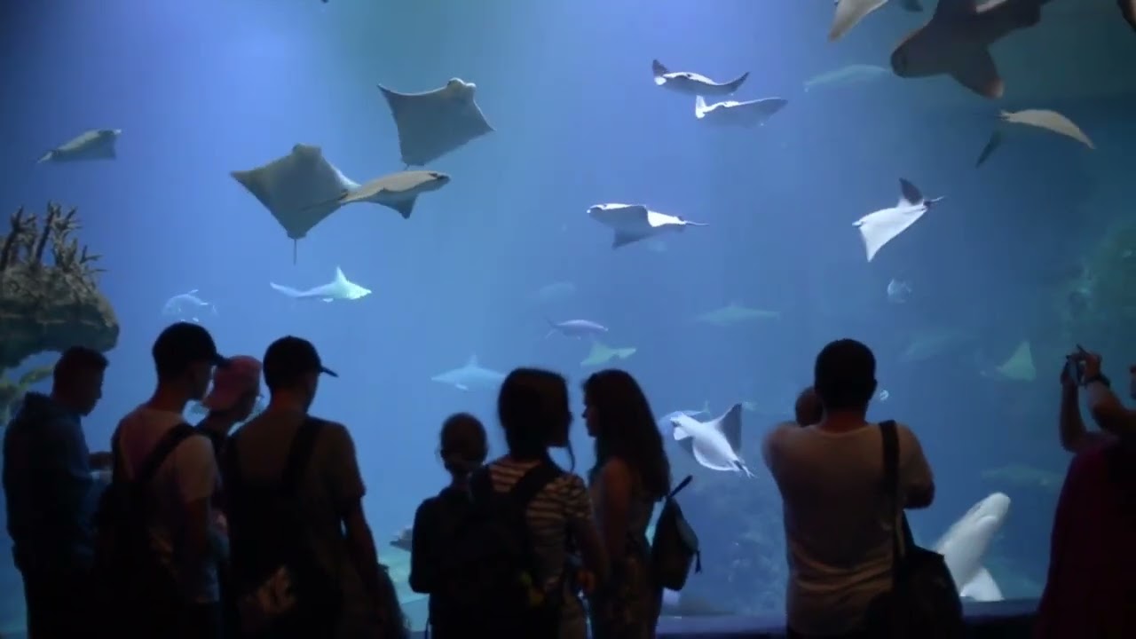Top-10 places to visit in Yanbu for travelers