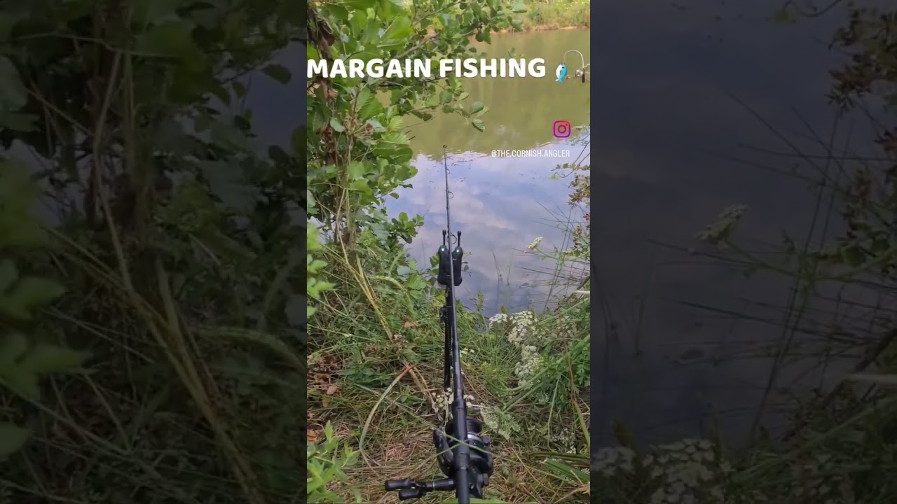 STEALTH FISHING FOR CARP #fishing #carpangler #carpfishing #fish