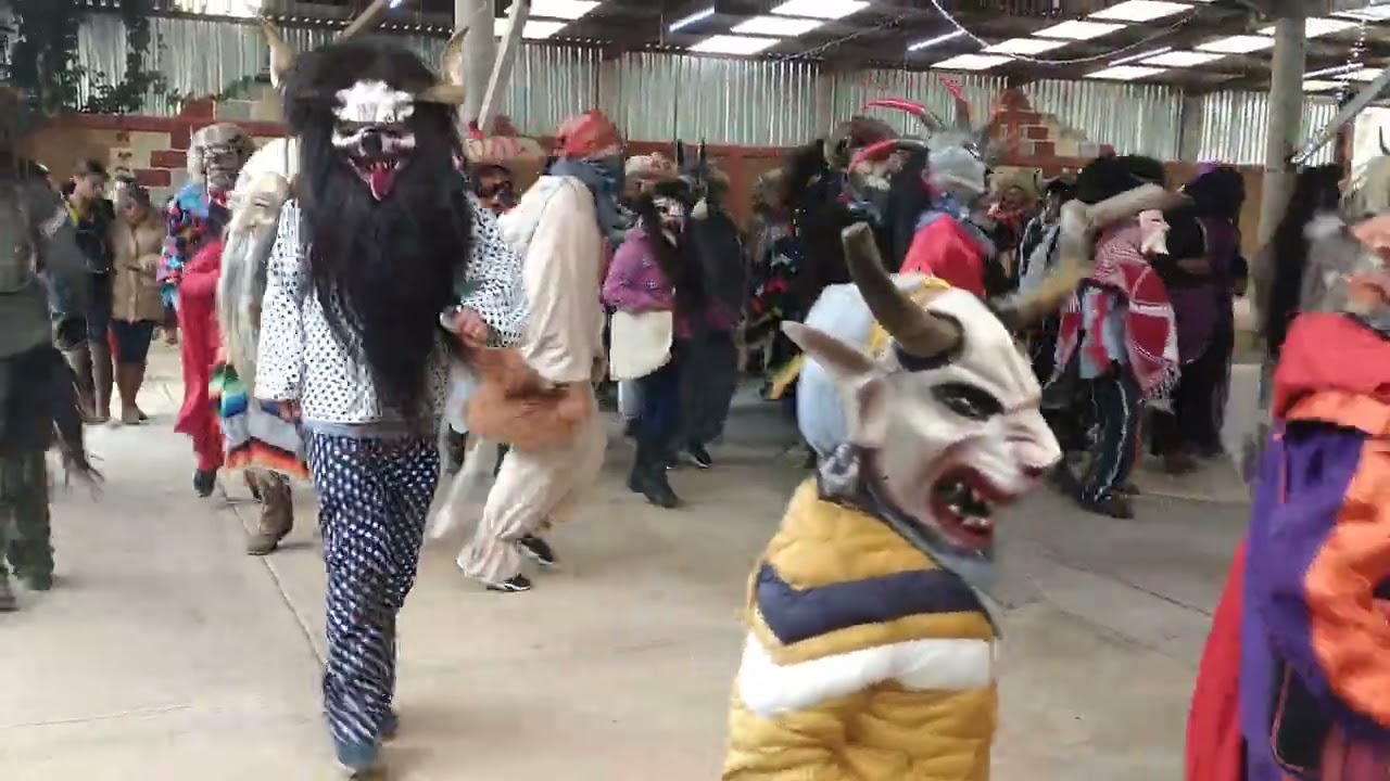 carnaval Carpinteros Hidalgo 2022