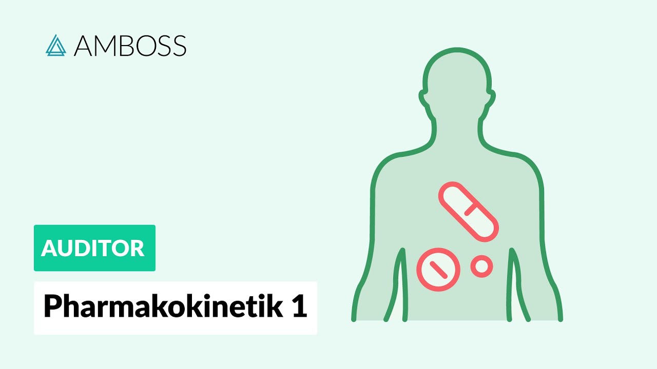 Pharmakokinetik Teil 1 - AMBOSS Auditor