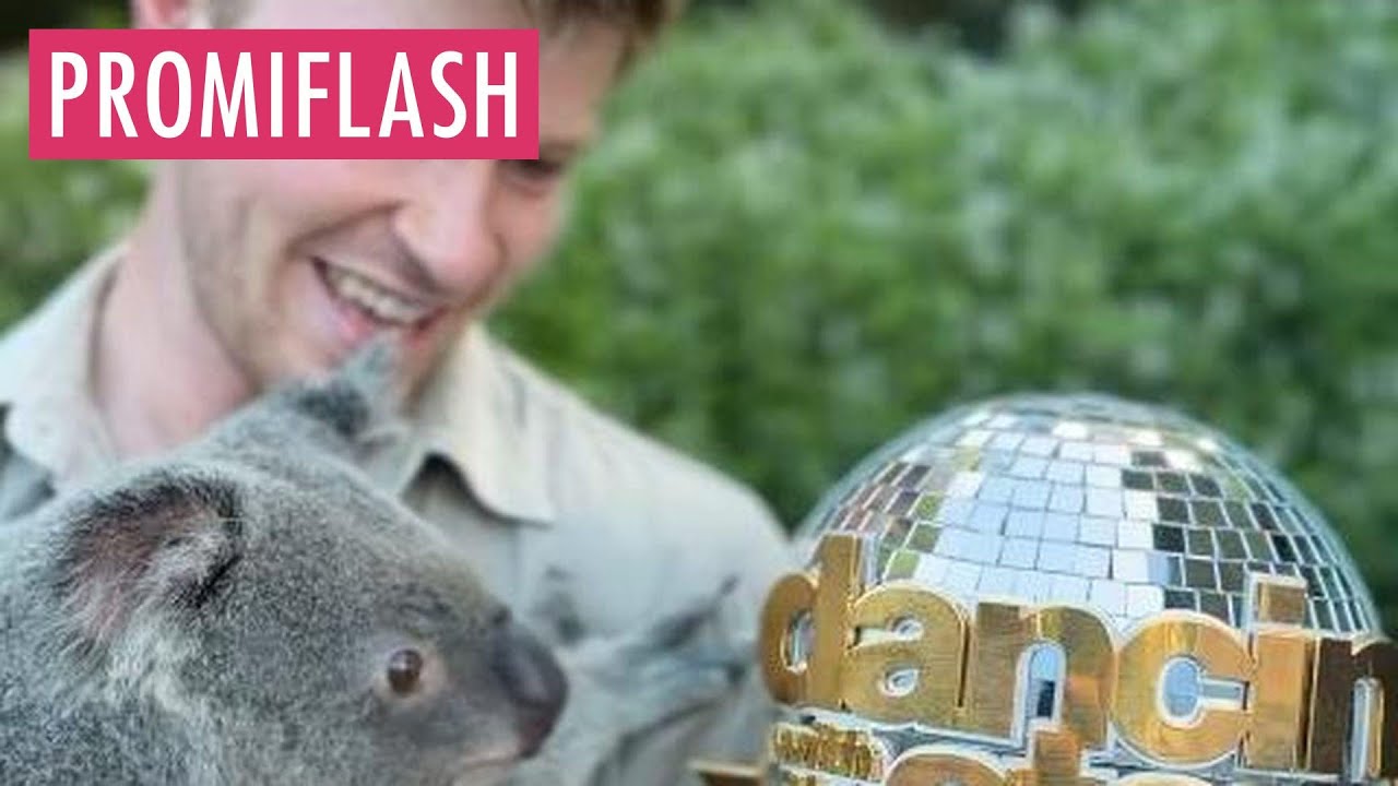 Robert Irwin zeigt Zootieren 