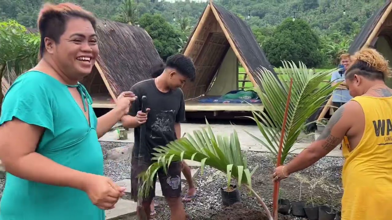 Transplanting Pine Trees Hinaguan Nature Park by @BrendaMageOfficial