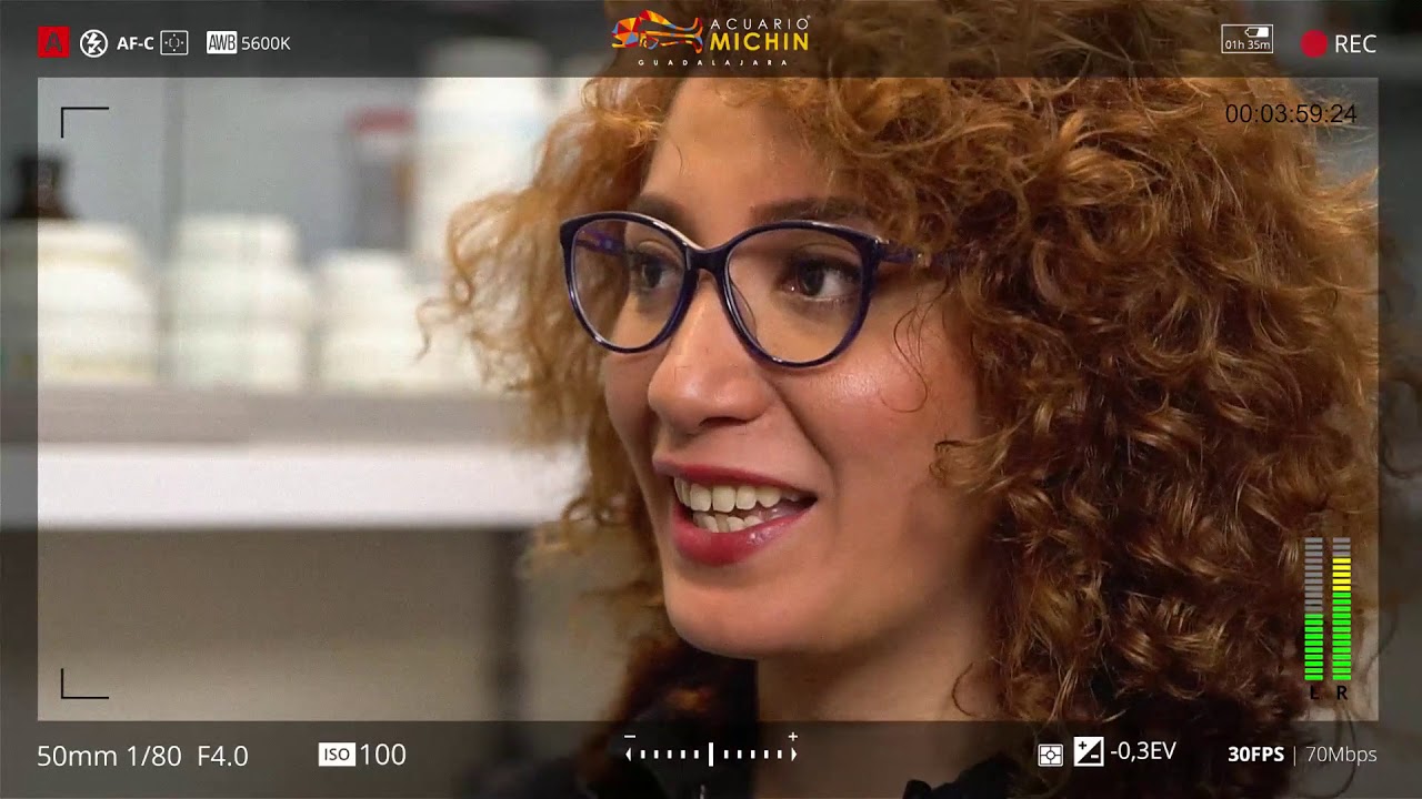 Entrevista | Conservaci&oacute;n de Ajolotes | Acuario Michin