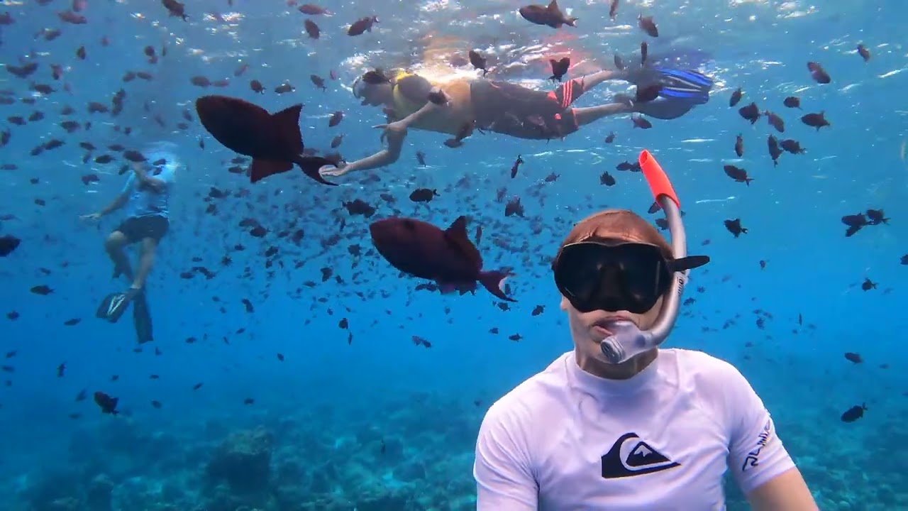 Kuredu Islands Maldives snorkling session (4k)