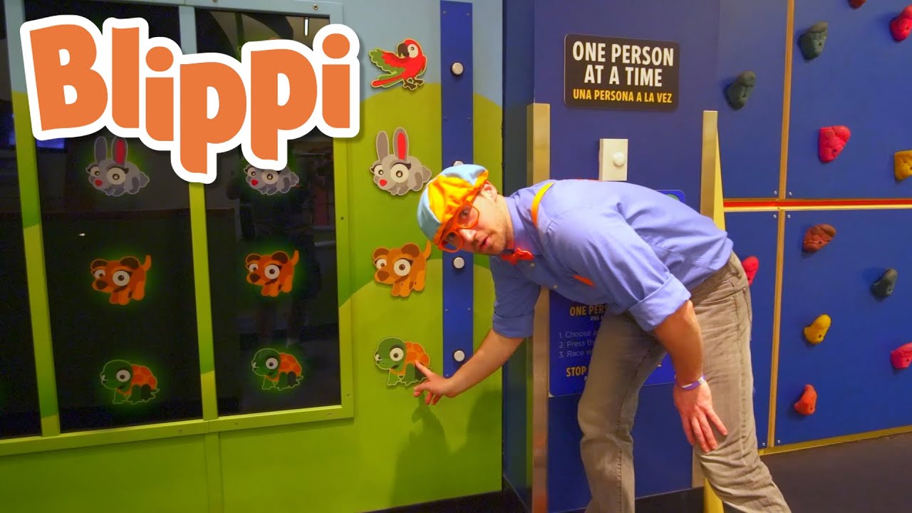 Blippi Visits a Children's Museum | Animals for Kids | Animal Cartoons | Funny Cartoons