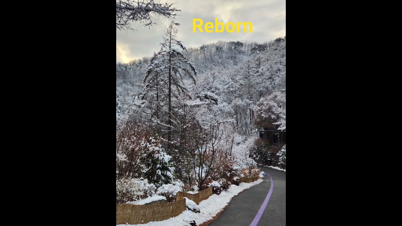 reborn (song production by ai and softkim) 