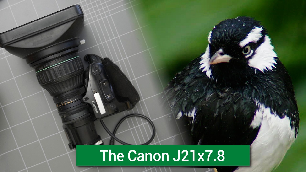 Canon J21x7.8 Broadcast B4 Zoom Lens Testing // Optically Corrected and adapted to a Sony FS7