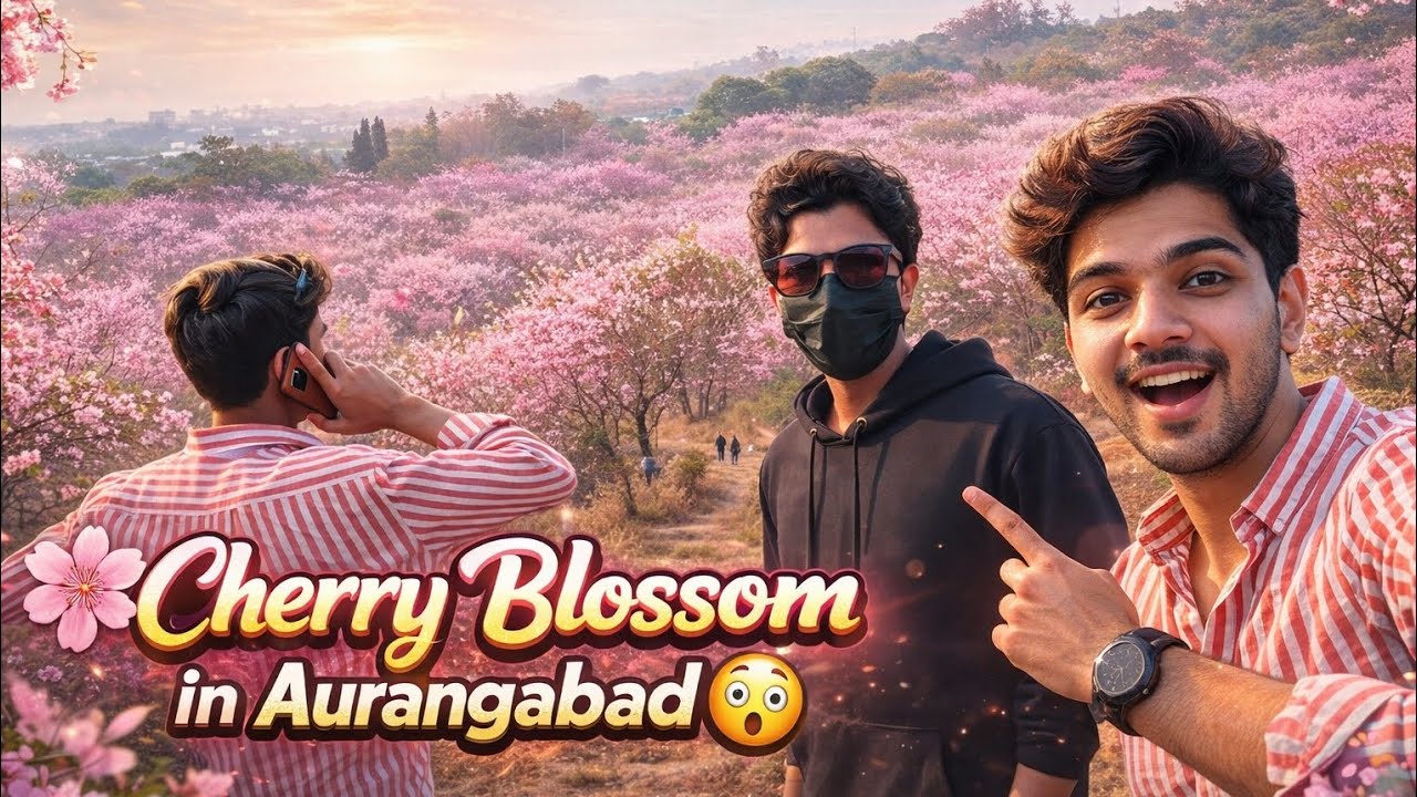 Cherry Blossoms in Aurangabad city 😲 | what an amazing view 🤯 | 