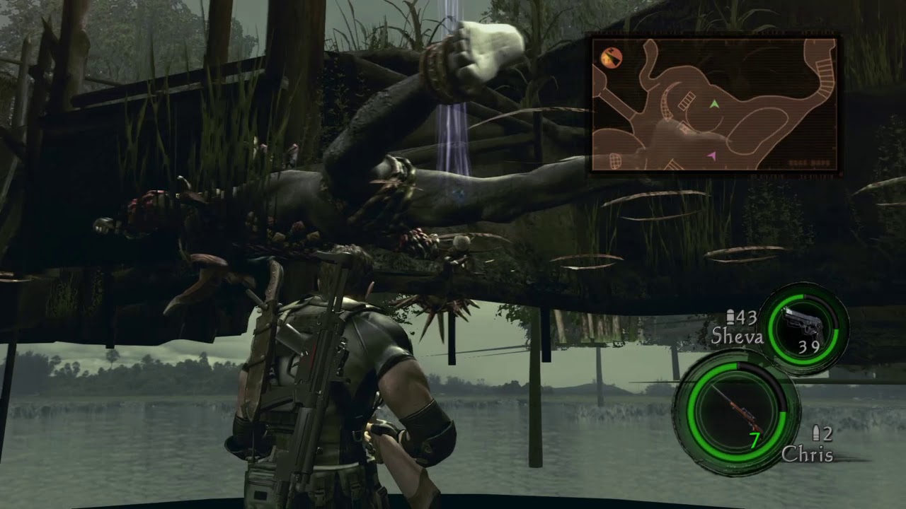 BIOHAZARD5バグ