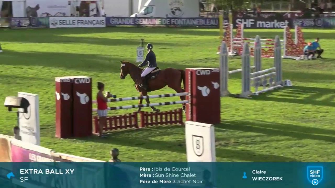 Fontainebleau 2019 - Parcours - EXTRA BALL XY - CL1 5 ans