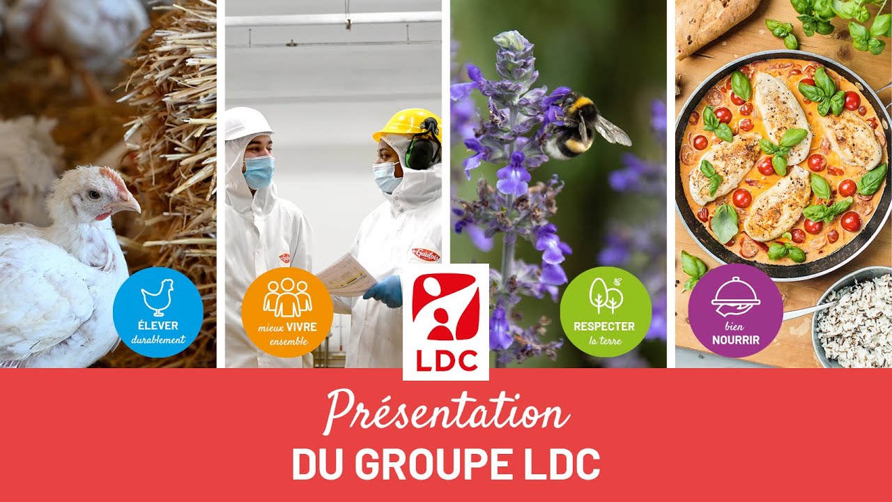 LDC Groupe : à la découverte de notre identité et de nos engagements 🍃🐔