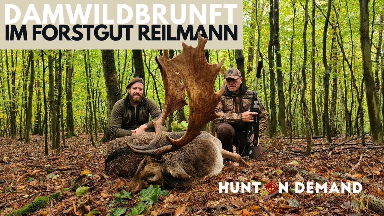 Damwildbrunft im Forstgut Reilmann 2023 &ndash; @hunterbrothersofficial Hunt on Demand Ausschnitt