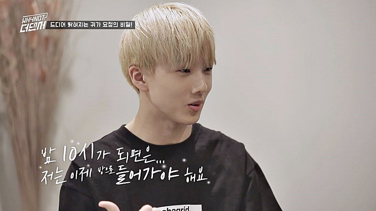 (촬영 중단?) 밤 10시면 사라지는 '귀가 요정' 지성(Jisung)의 탄생 비화  WHYNOT-더 댄서(The dancer) 4회
