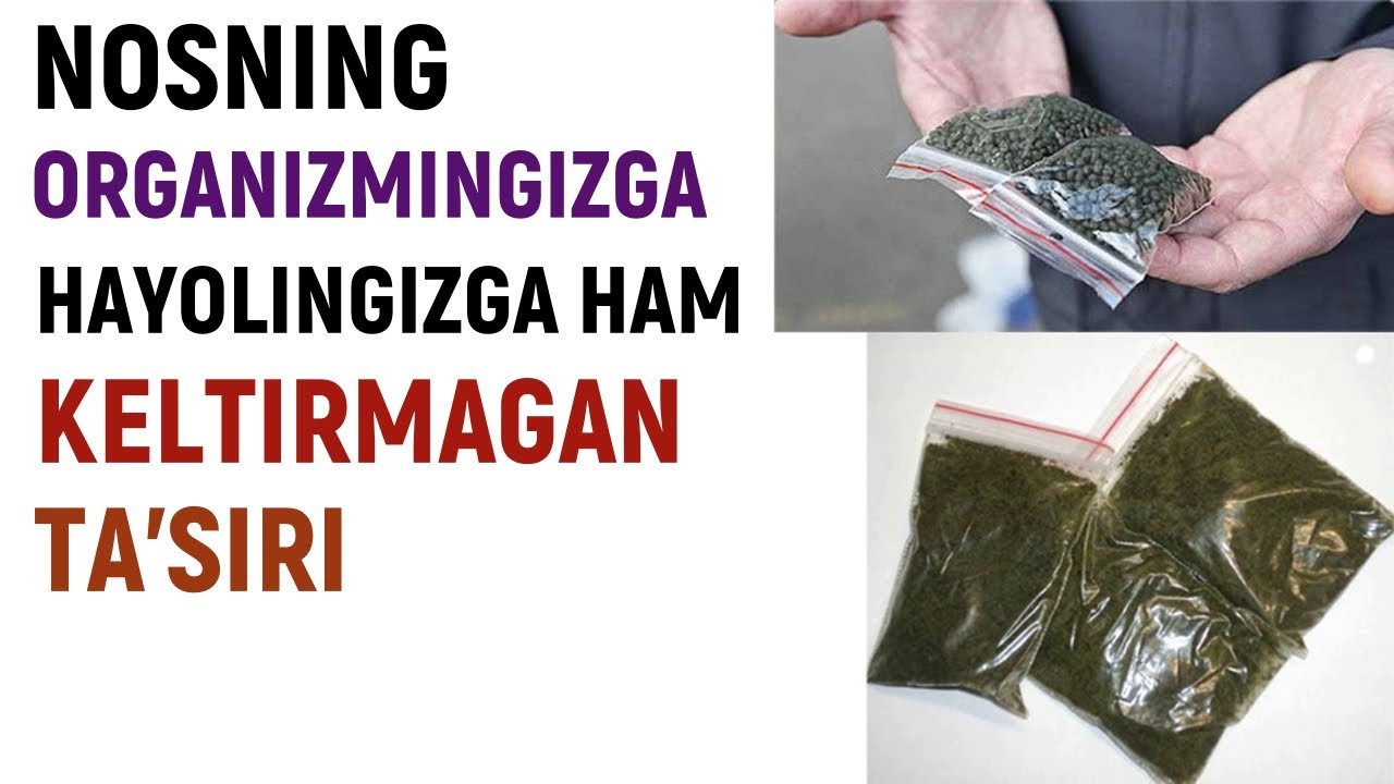 Nos chekish odam organizmiga foydalimi yoki zararlimi ?
