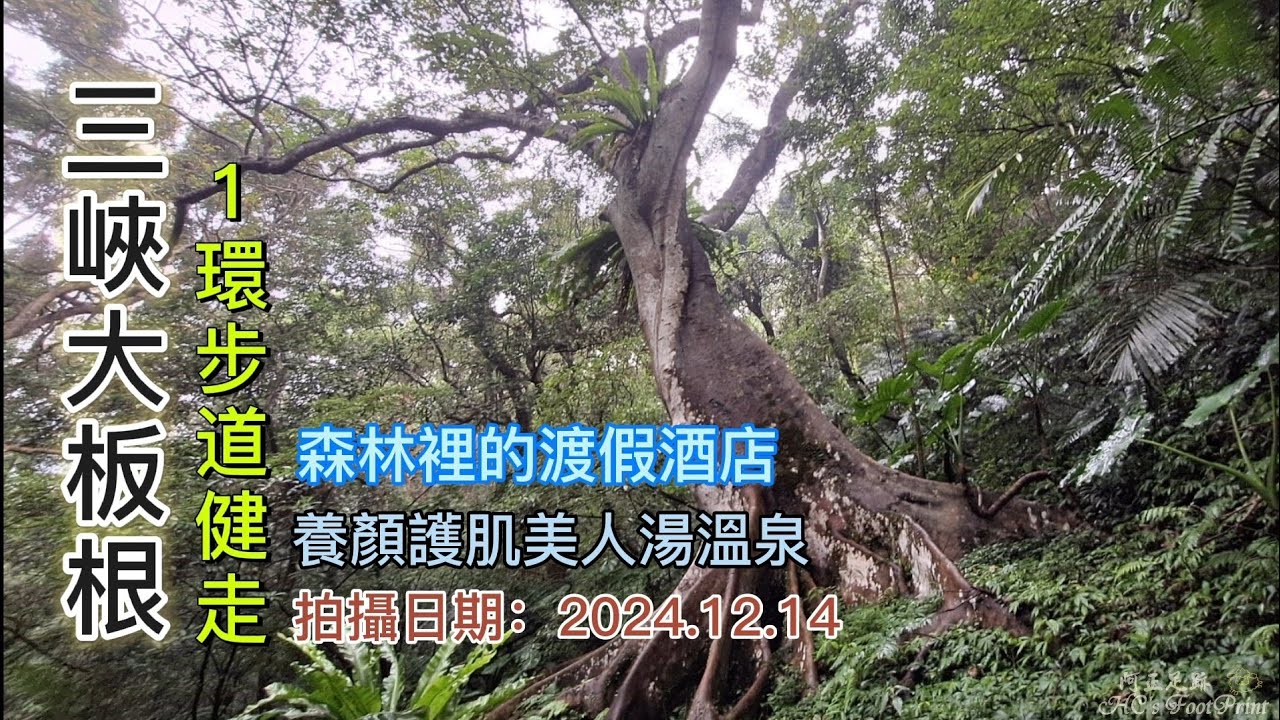 三峽大板根一環步道健走,在森林裡的渡假酒店,恐龍廣場烤肉趣,還有養顏護膚的溫泉「美人湯」哦-FP242,1