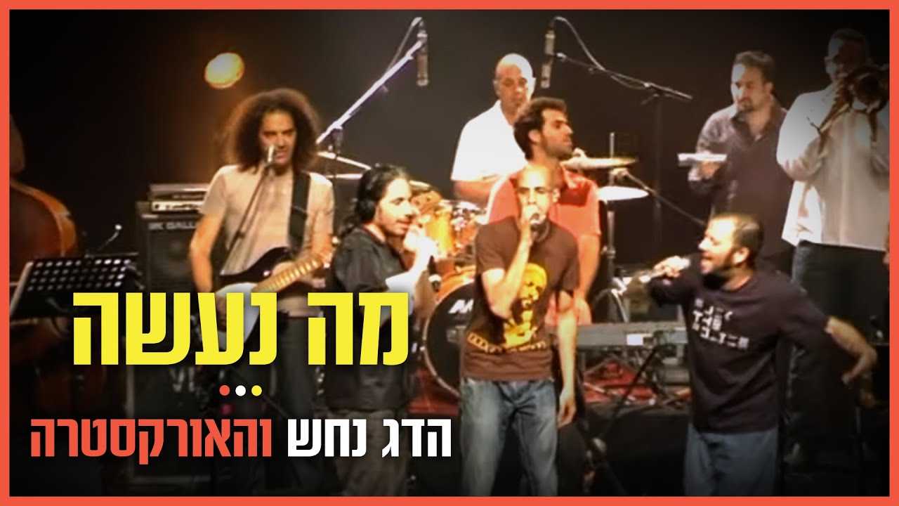 הדג נחש והאורקסטרה (תזמורת הג'אז הישראלית) - מה נעשה