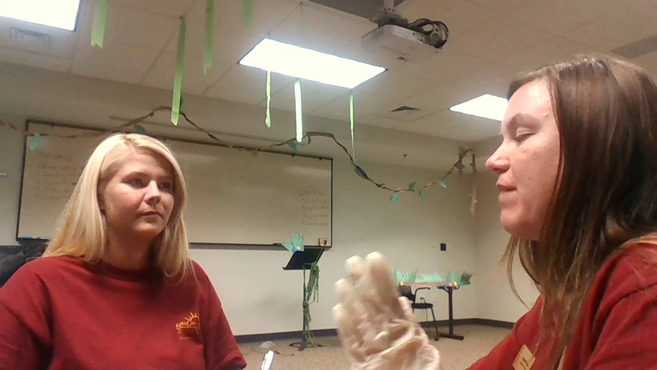 Oral Motor Examination