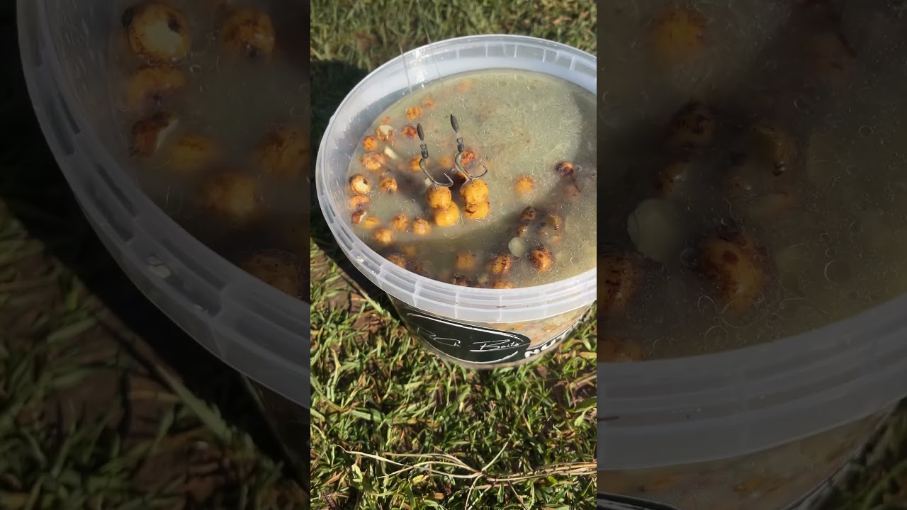 Match the hatch! | MUST WATCH | CARP FISHING SOUTH AFRICA