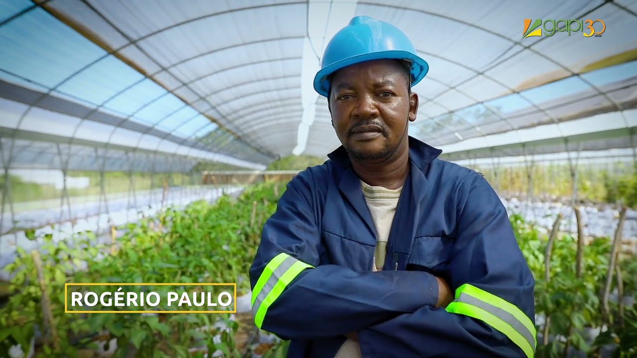 Jovens Agricultores, Desenvolvimento de Técnicas Agrárias - Gapi - PT