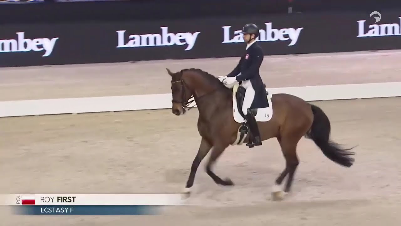 Roy First ECSTASY F Grand Prix CDI4 Bordeaux 2026
