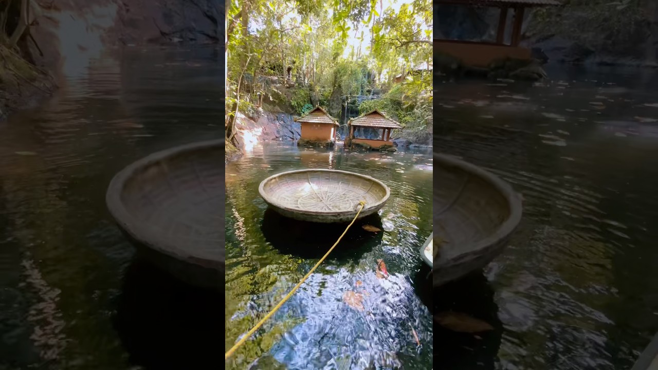 RAINFOREST RESORT KOTTAYAM  #youtubeshort #shortsfeed #shortsvideo