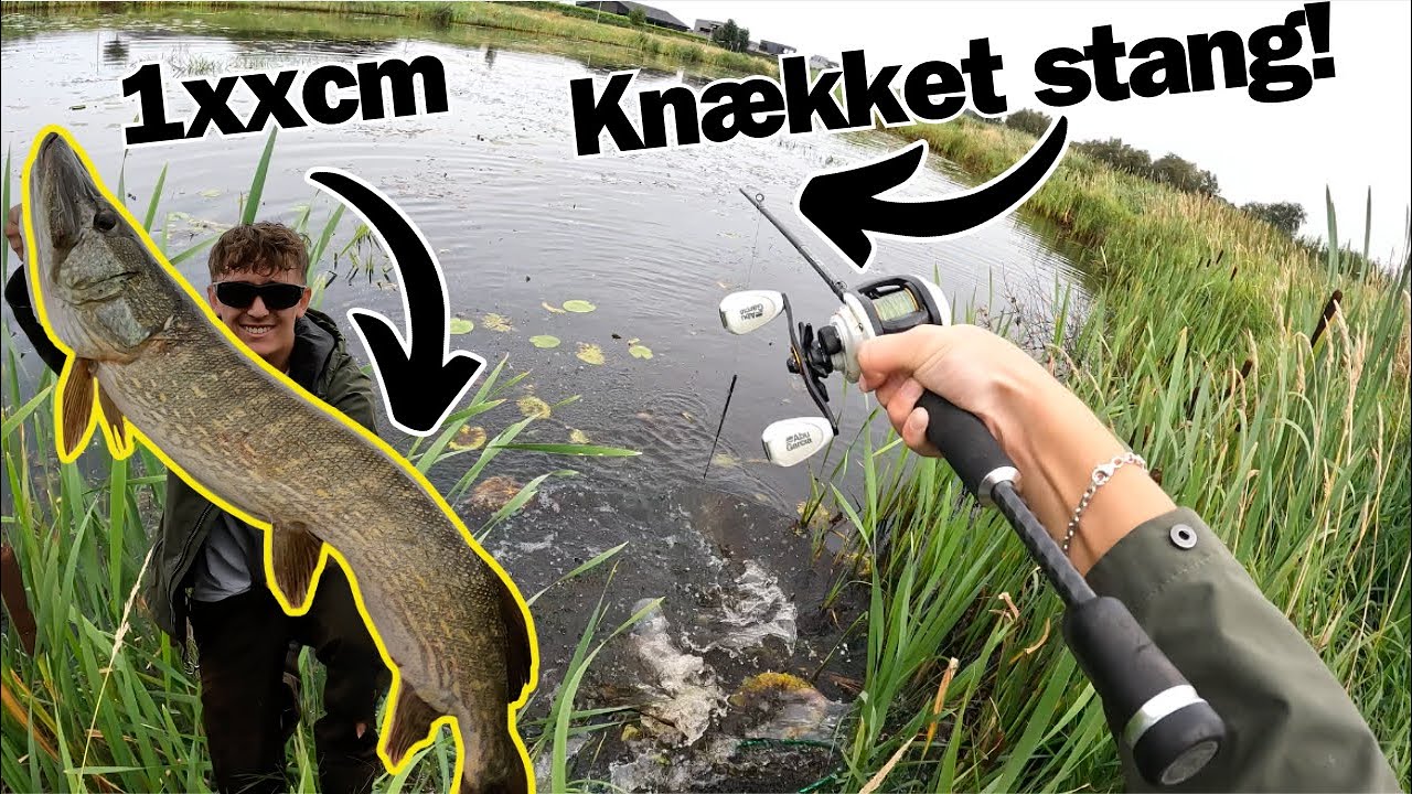 KÆMPE GEDDE knækker MIN stang!