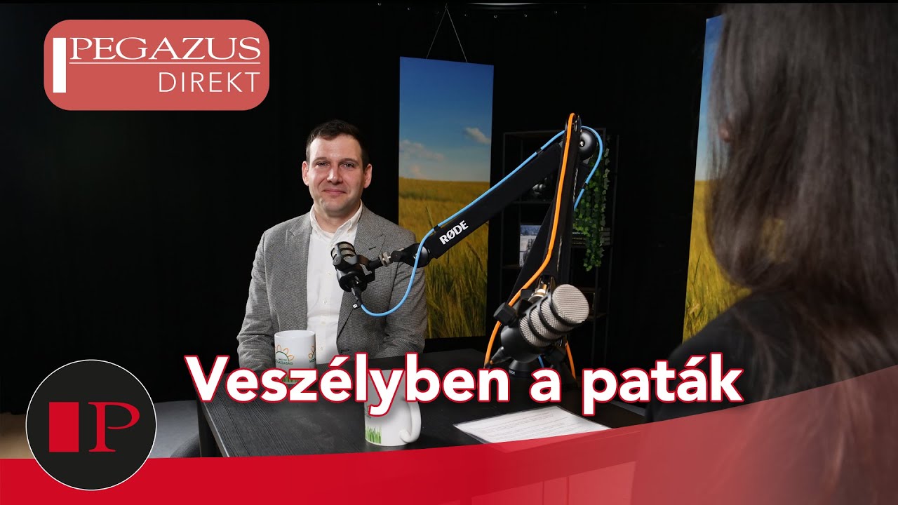 A szakértő válaszol: sár a lovardában - a fertőzések melegágya? Dr. Tuska Pál | Pegazus Direkt XIV.