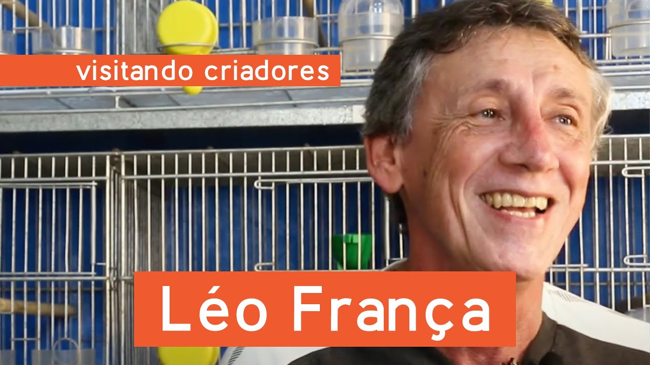 Visitando Criadores – Léo França - Canários de Porte e Canário de Canto Timbrado Espanhol