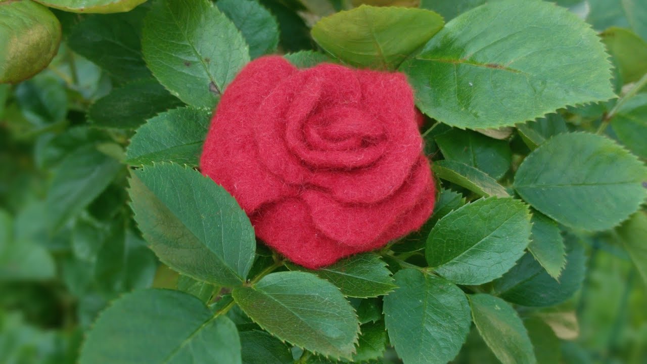 Easy wet felting tutorial - Wool rose - Felted flower for beginners