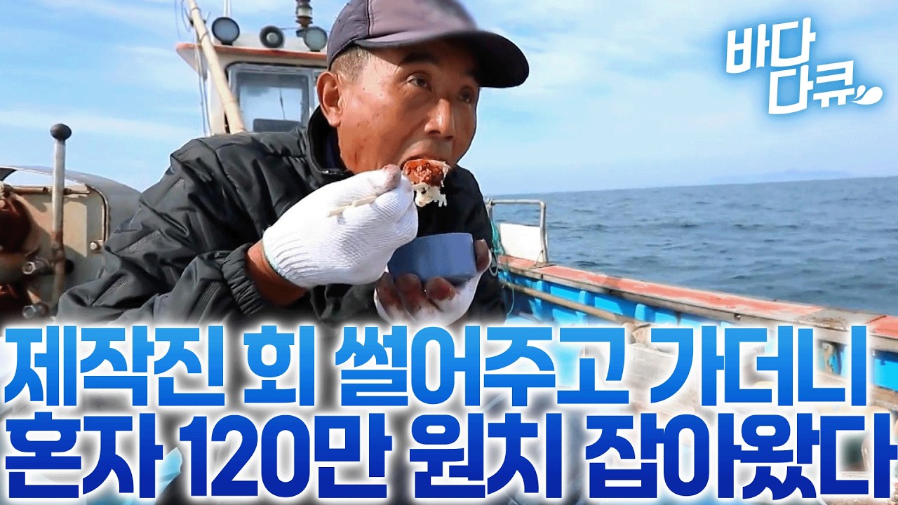 딱 한 놈만 노린다, 갈수록 실력이 늘더니 이젠 혼자 120만 원어치 잡는 어부 / #바다다큐