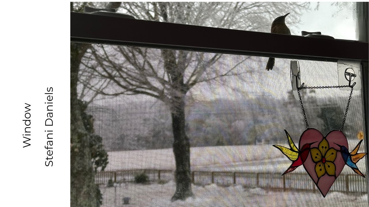 WINDOW | Cinematic Winter Visuals | Original Electronic Song | One-Stop Sync - Stefani Daniels