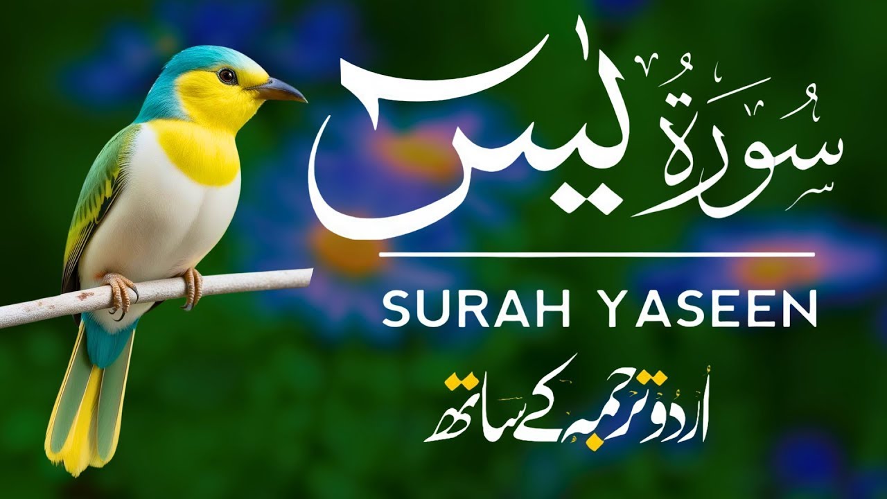 Surah Yaseen | Surah Yaseen With Urdu Translation | Al Furqan Studio | Ep064