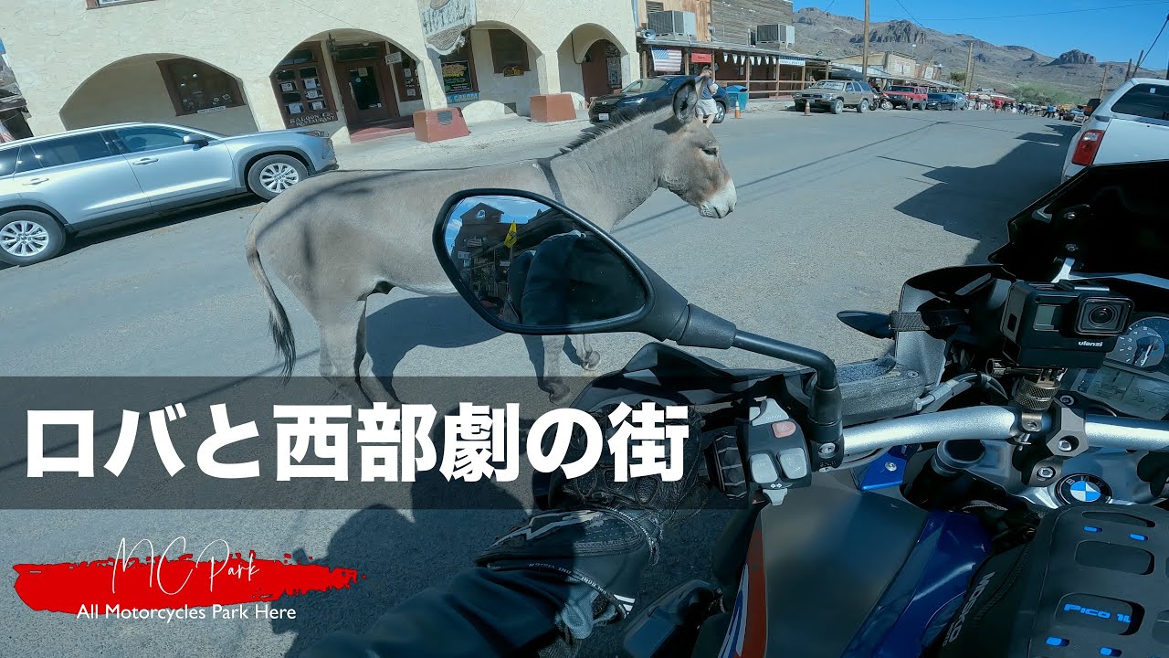 オートマンという街はロバと西部劇の世界でした | キャンツーUSA 2025