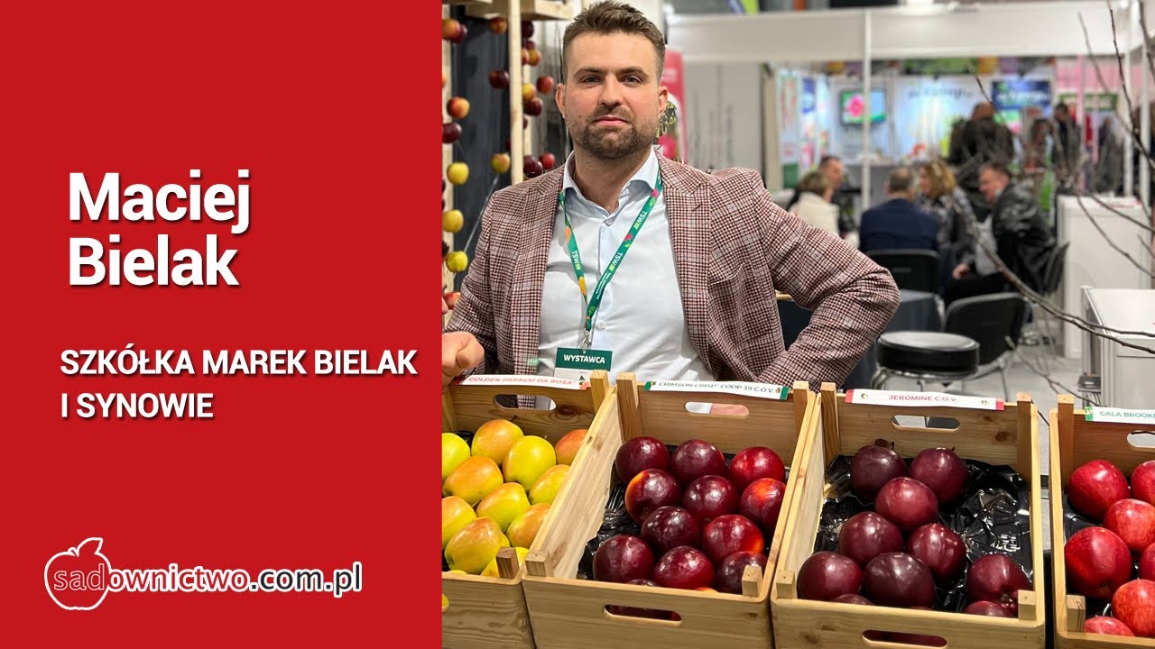 Sprzedaż drzewek w szkółce Bielak w 2022/2023 roku.