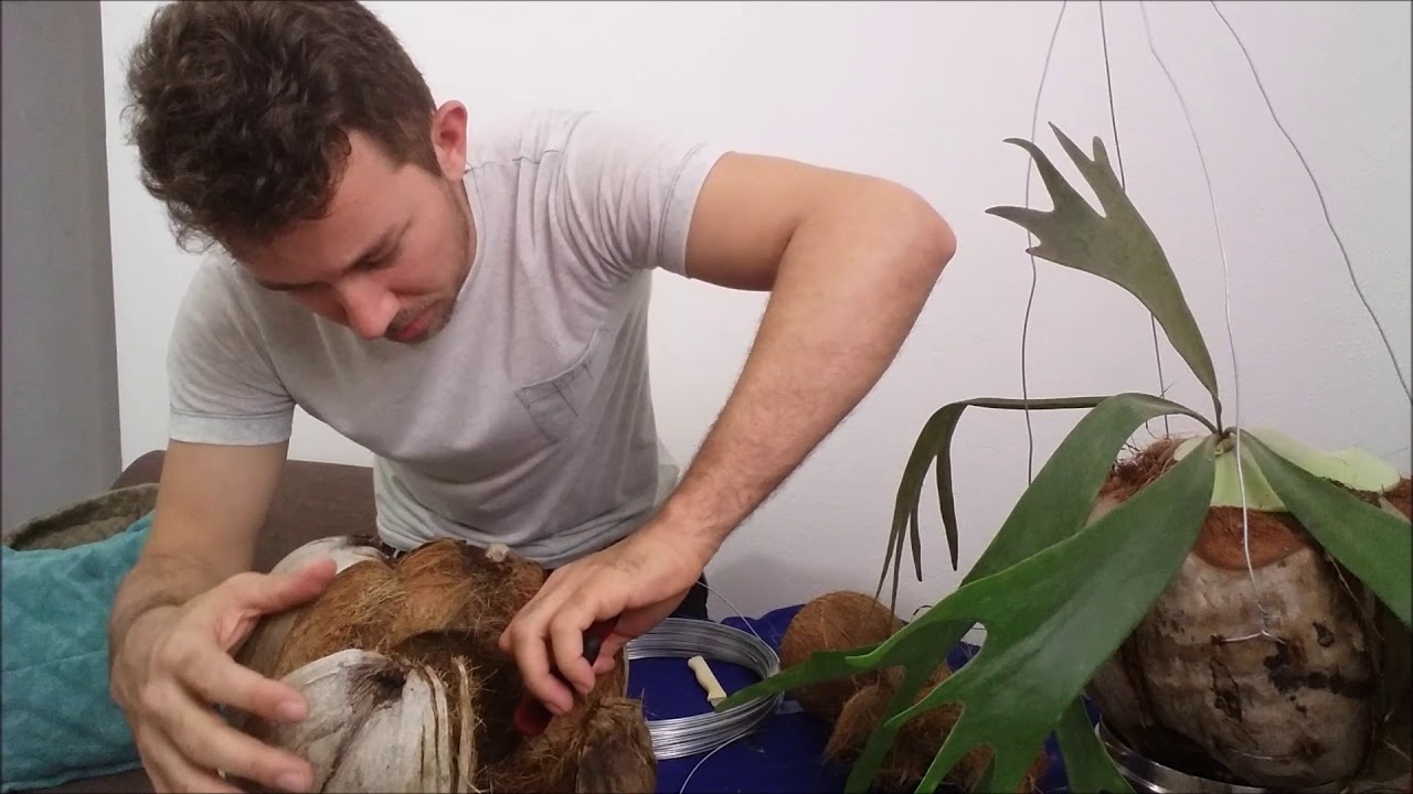 XAXIM DE FIBRA DE COCO  #001