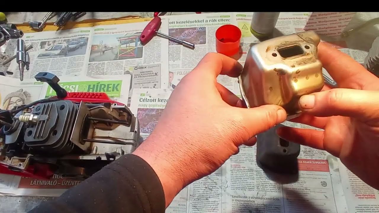 Kínai láncfűrész 