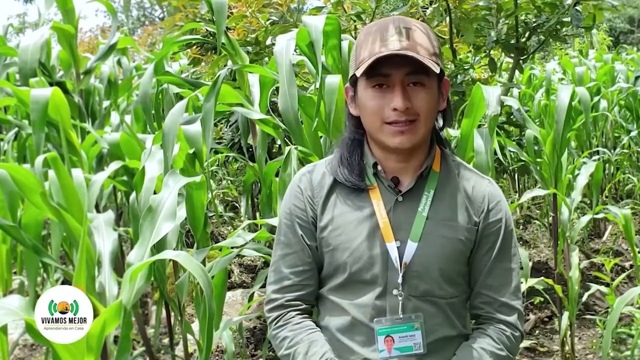 Programa Sistema Milpa