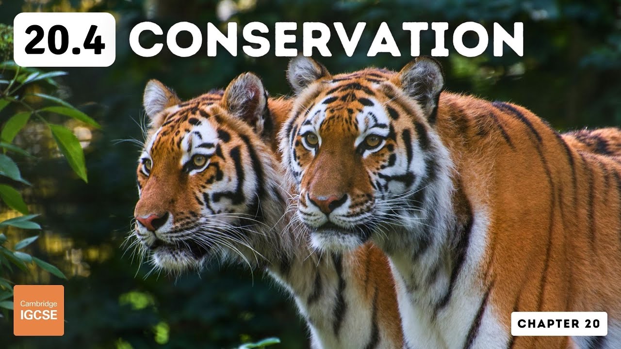 IGCSE Biology - Conservation (20.4)