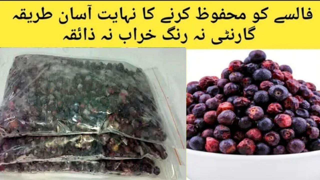Falsa store karne ka tarika | How to store phalsa for long time | فالسے کو محفوظ کرنے کا طریقہ