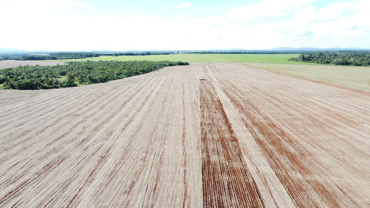 A vida do agricultor não é fácil não 