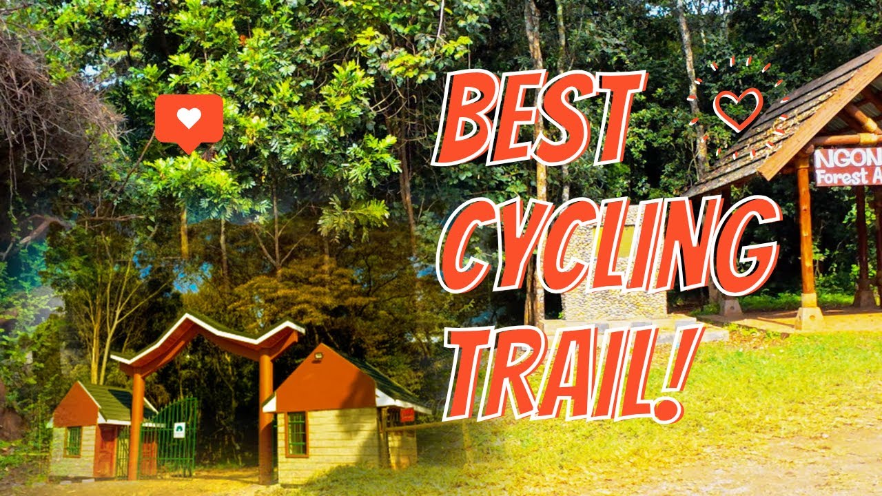 I Went For a Cycling Adventure at Ngong Road Forest Sanctuary 🚴🌳 | What Happened Blew My Mind🤯🤯...  
