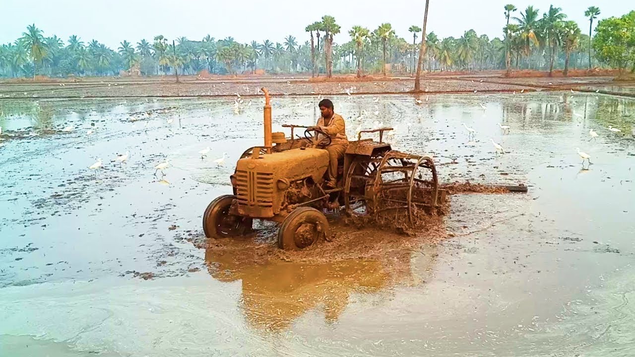 Mahindra B 275 Excellent Mudleveling In Paddy Field | Cute Village