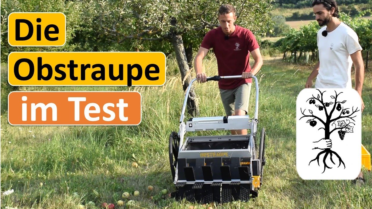 Die einfachste Art Obst zu sammeln?  OBSTRAUPE im Test