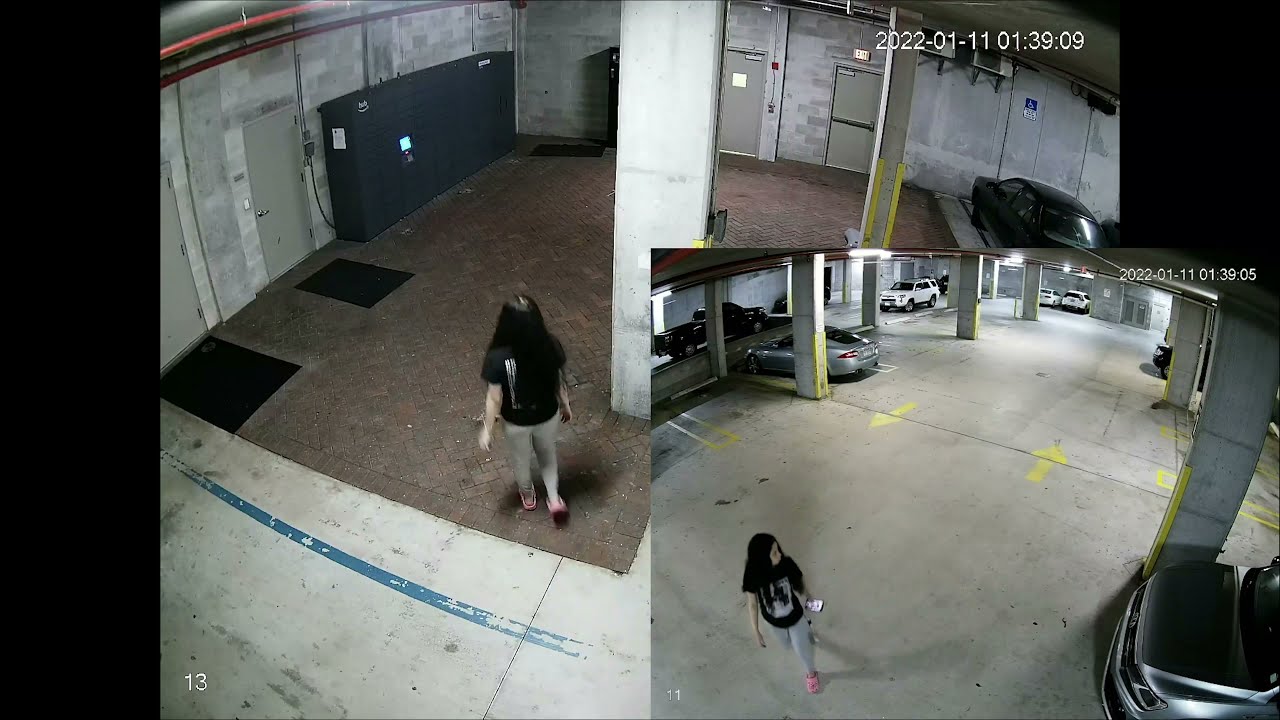 Seattle Parking Garage - Theft Apprehended and Recovery