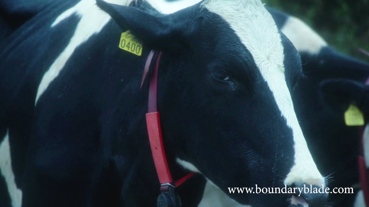 Boundary Blade® patented 5 Level Fence Tester & Pocket Knife Agricultural Tool Testimonial